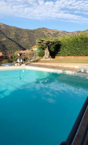 Loc. Testana - Alture di Recco (GE)